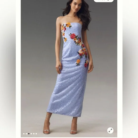 Anthropologie ★ Helsi Silvia Strapless Stretch Sequin Dress Anthropologie | Dresses | Helsi Silvia Strapless Stretch